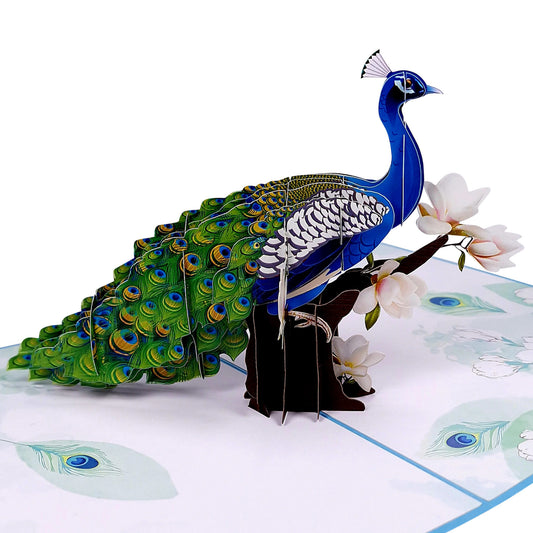 3D Pop-Up Karte - Pfau