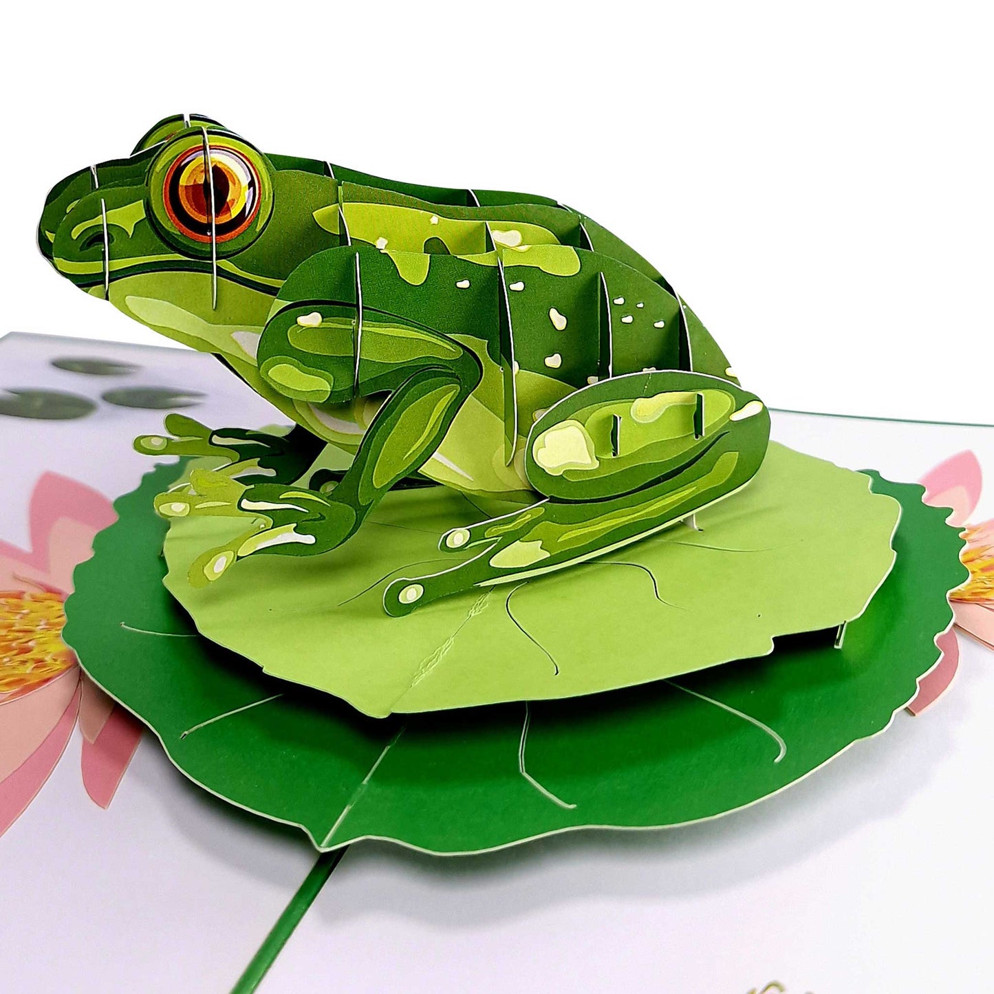 3D Pop-Up Karte - Frosch