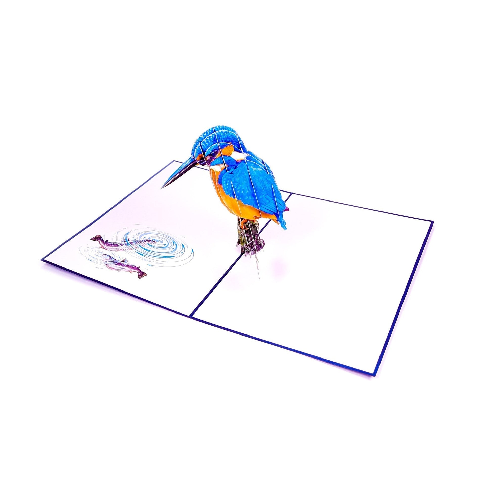 3D Pop-Up Karte - Eisvogel 20x15 cm