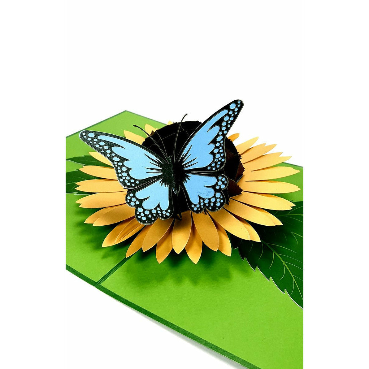 3D Pop-Up Karte - Schmetterling auf einer Sonnenblume