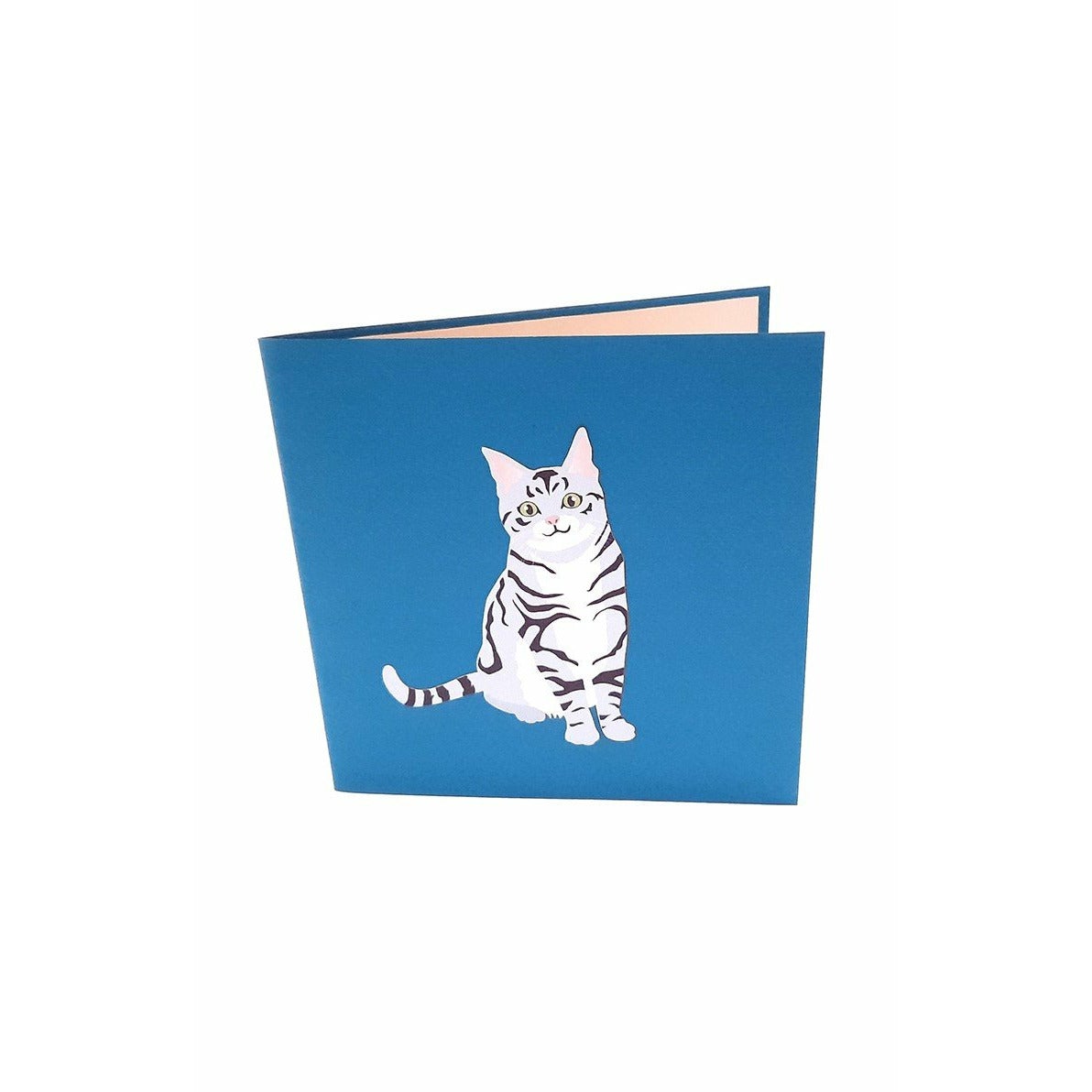 3D Pop-Up Karte - Tabby cat